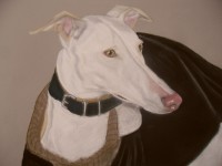 /album/galerie-photos/photo-1129-jpg/